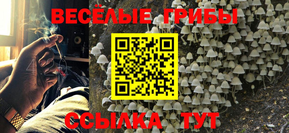 Ярцево  Галлюциногенные грибы мухоморы  Псилоцибиновые грибы Cubensis  Вход с VPN 